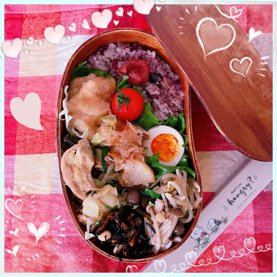 ３／５ ｓｕｎ 鶏胸肉のみぞれ煮弁当🍴