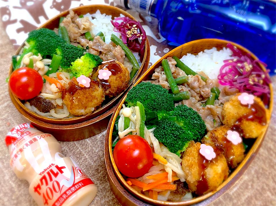 今日の夫婦弁⁽⁽ ◟(灬 ˊωˋ 灬)◞ ⁾⁾💕