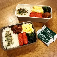 Snapdishの料理写真:息子と娘弁当|hatabowwyomeさん