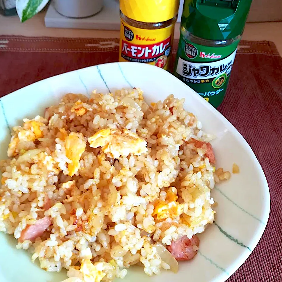 カレーチャーハンでランチ🍴|だまさん