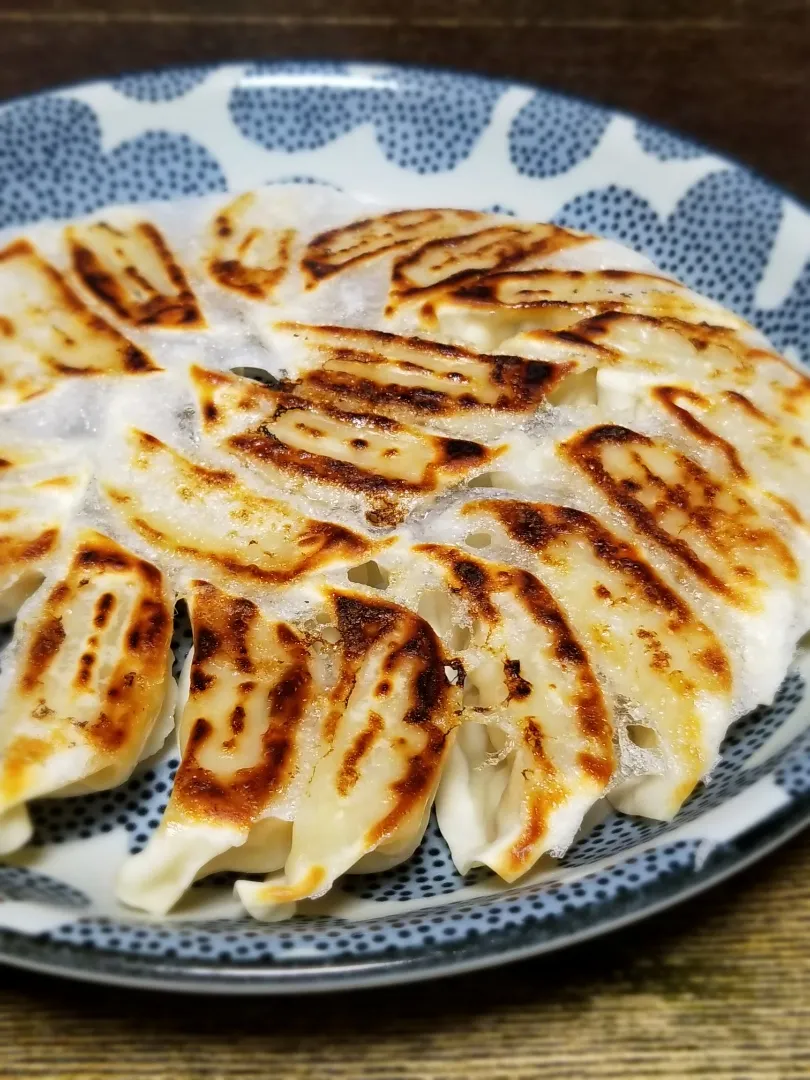 パパ作👨チルド餃子de羽根つき餃子|ぱんだのままんさん