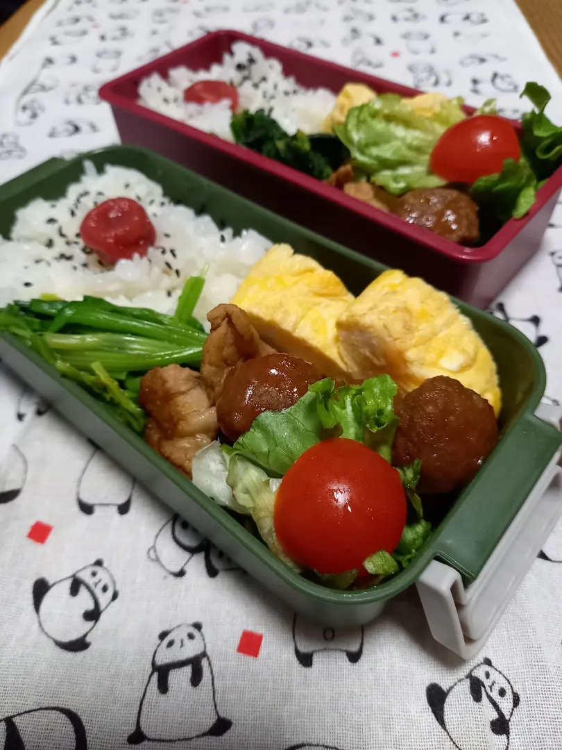 今日のお弁当🍱|marutanさん