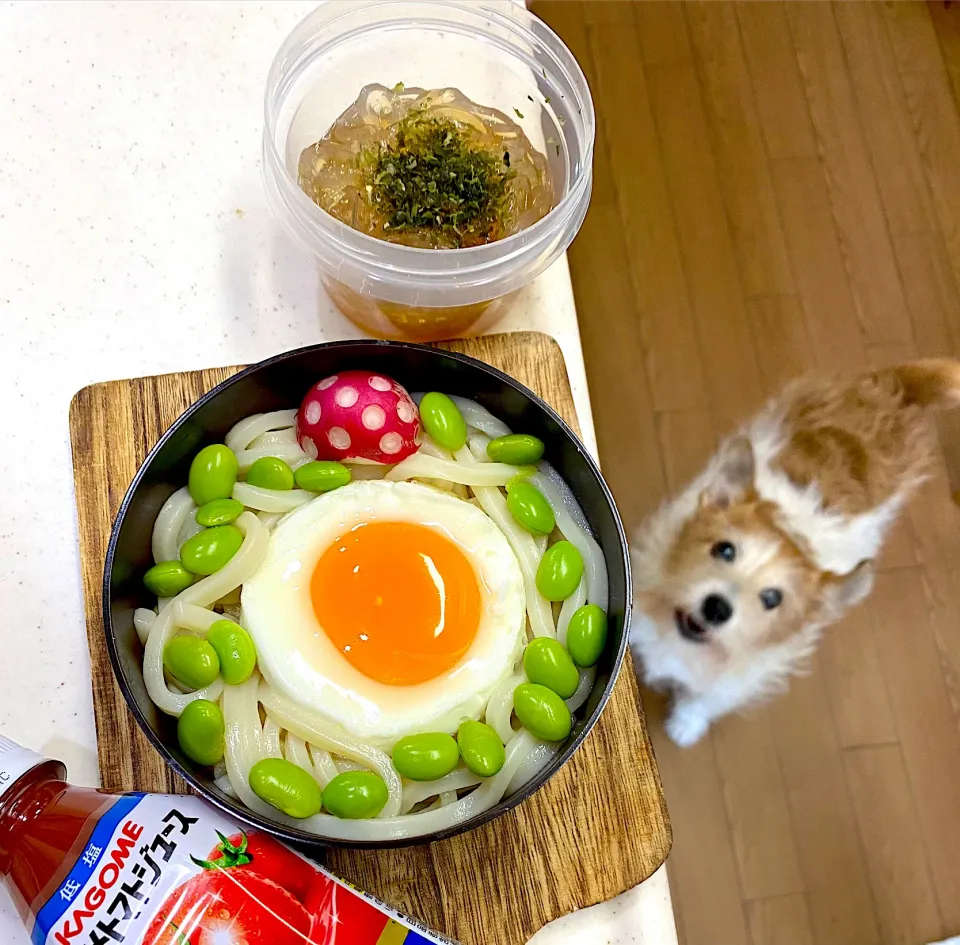 カレーうどん弁当|cafe3733さん