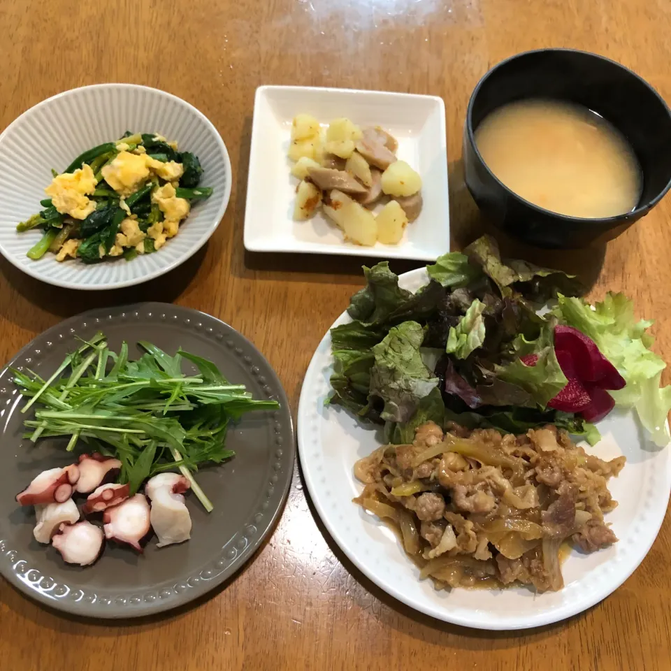 今日の晩ご飯シリーズ|トントンさん