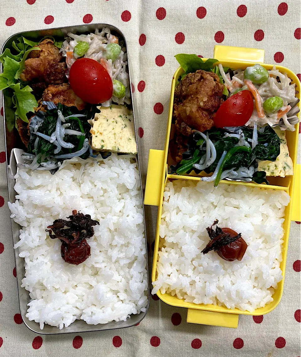 3月10日 週末弁当🍱|sakuramochiさん