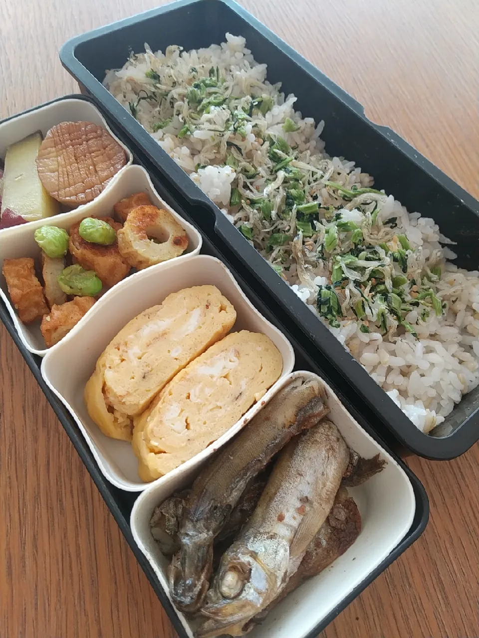 大胆に、シシャモ弁当|まきごろうさん