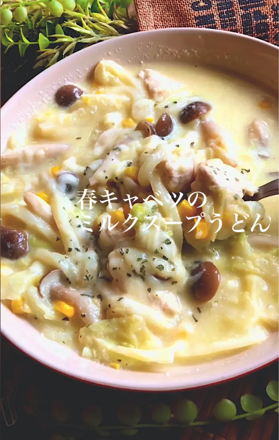 Snapdishの料理写真:春キャベツのミルクスープうどん|MAPITEEさん