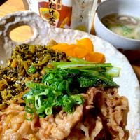 たかな豚丼