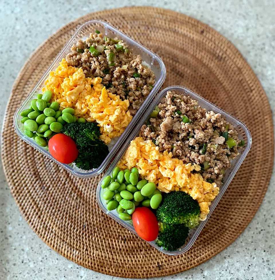 鶏そぼろ丼弁当|しーさん