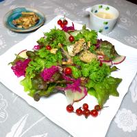 春野菜と鯖のジェノバ風サラダ