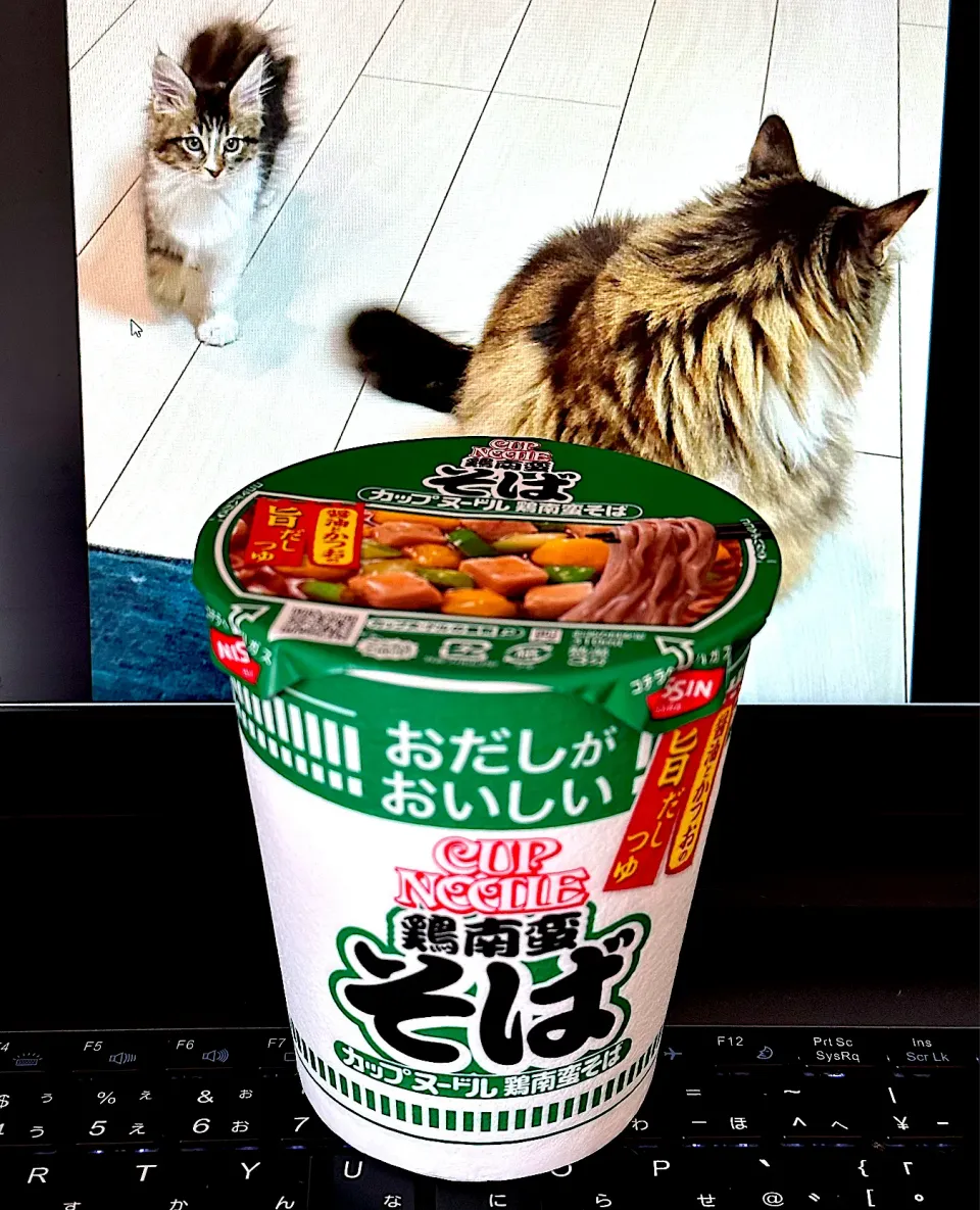 Snapdishの料理写真:昼ごはん|にゃあ（芸名）さん