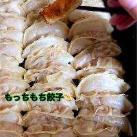 昨夜は白菜の餃子を作りました🥟