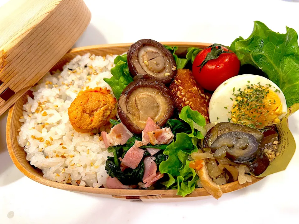 今日のお弁当|kawausoさん