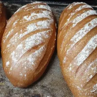 Pain de Campagne (Rye Rustic)|Mel Gさん