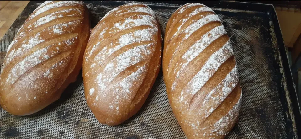 Pain de Campagne (Rye Rustic)|Mel Gさん