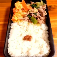 Snapdishの料理写真:家だけどお弁当|bonnebonnemenuさん