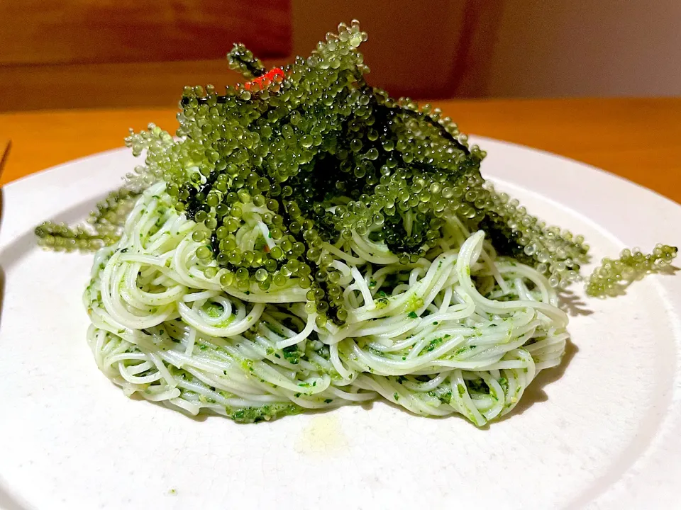 海ぶどうのそうめんタシヤー|ⅡⅣⅢさん