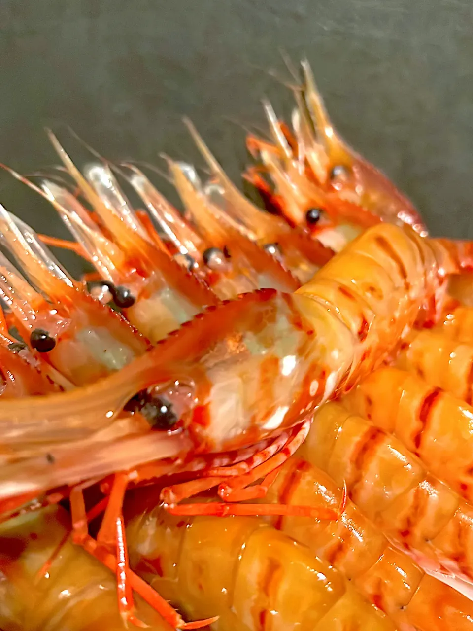 牡丹海老|中野亮さん