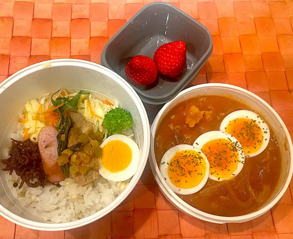 Snapdishの料理写真:中学生息子のお弁当🍱 ハヤシライス弁当🍱|Snow10さん