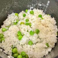 豆ごはん🫘