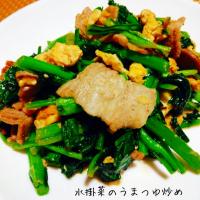 モリモリ食べられる♬水掛菜と豚肉のうまつゆ炒め