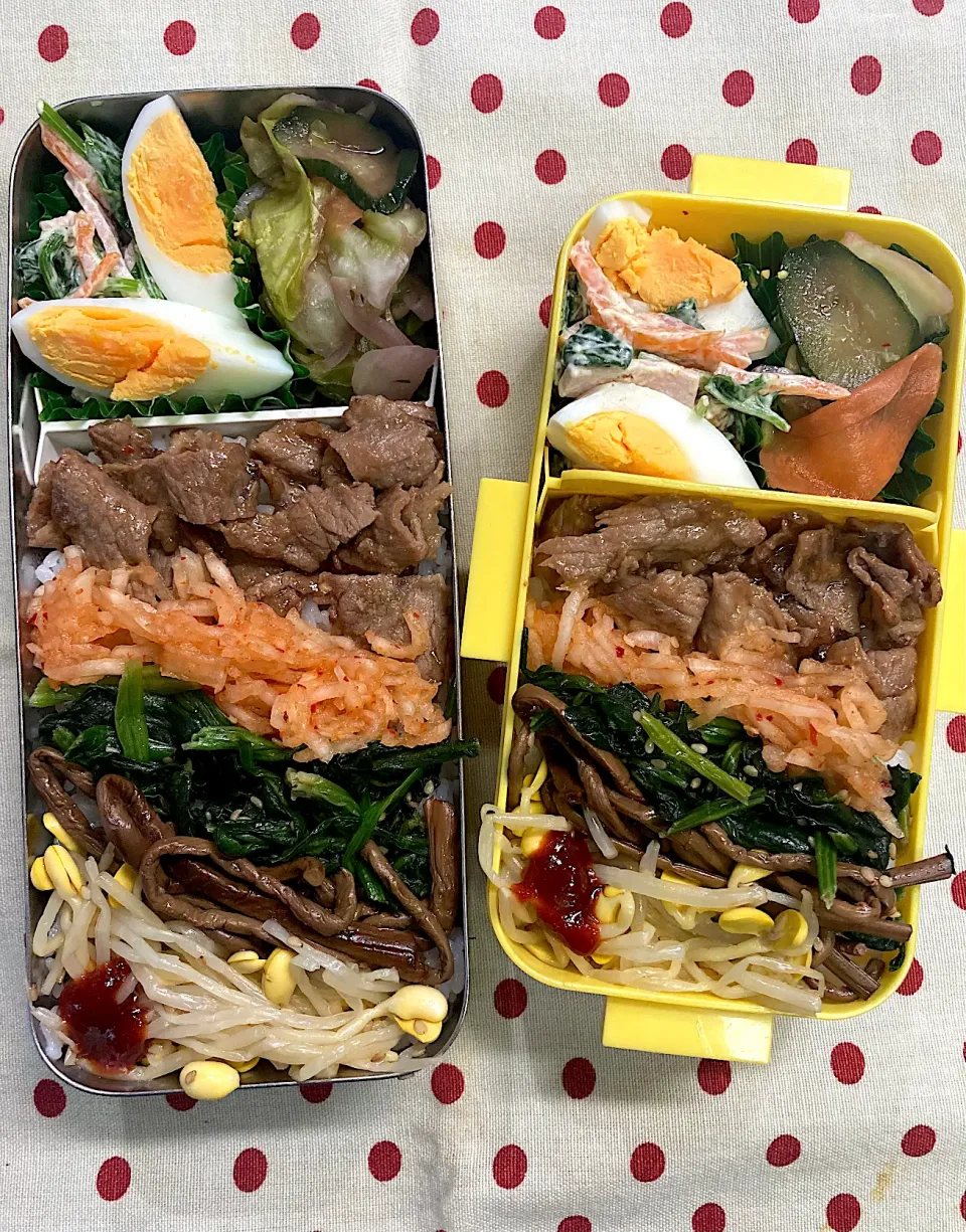 Snapdishの料理写真:3月15日 ビビンバ弁当🍱|sakuramochiさん