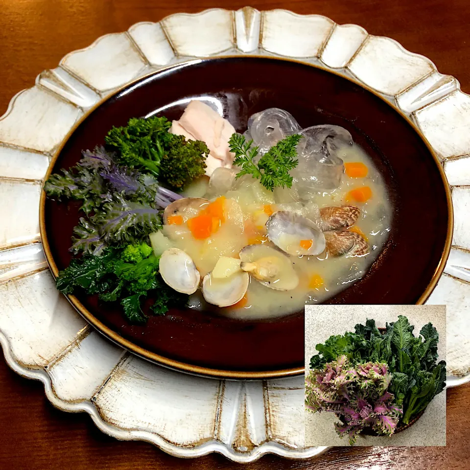 クラムチャウダー🐚大拉皮deパスタ🍝春野菜添え🥗|henryさん