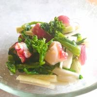 菜の花と独活の春サラダ