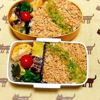 2023.3.16  お弁当