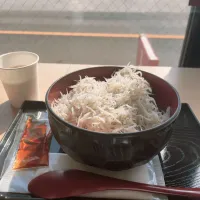 しらす丼！|あゆむさん