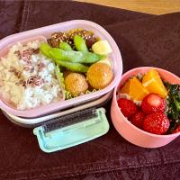 ムスメ弁当