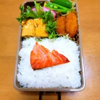 本日のお弁当🍱🍴|ミカぽさん