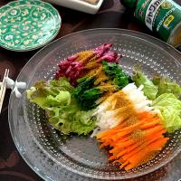 紅白大根と青菜と人参の4色カレーナムル