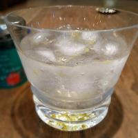 焼酎の塩たんかんソーダ割り