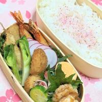 本日のお弁当〜桜塩弁当〜