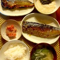 Today's dinner🍴