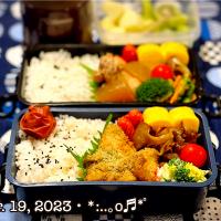 2023/03/19お弁当〜♡