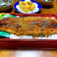 うな重
