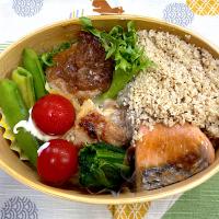 ハンバーグ、焼鮭、鶏肉、そぼ