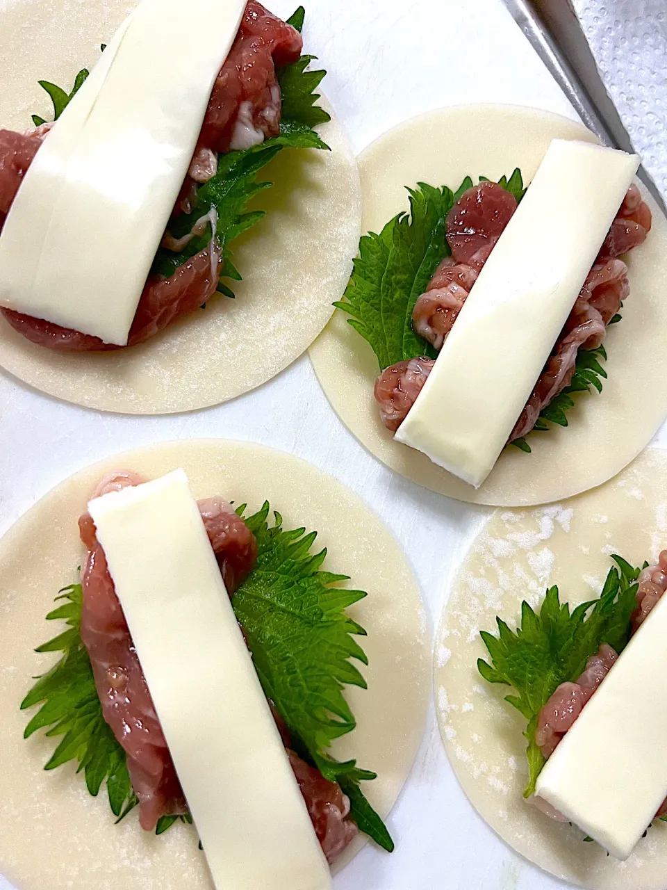 Snapdishの料理写真:豚肉バラと青葉とチーズの餃子の皮包み|akkkkkさん