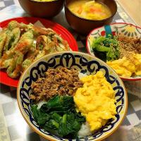 サバ缶で三色丼♬