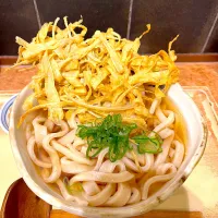 ごぼ天うどん|takamoriyasushiさん