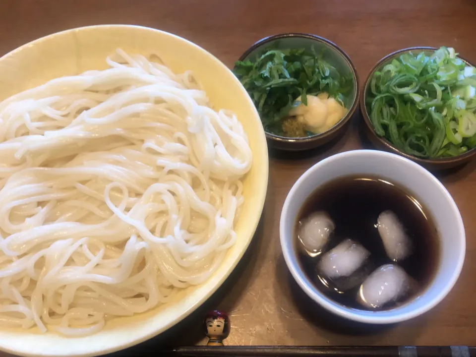 暖かい日の薬味たっぷりつけうどんランチ|masaさん