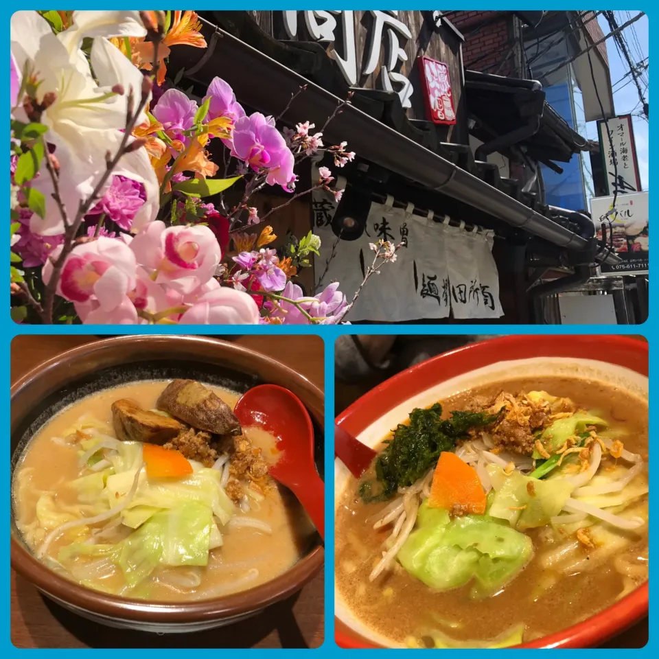 Snapdishの料理写真:新装開店、田所商店　味噌ラーメン。札幌味噌と三重の伊賀味噌ラーメン|Hiro Yanさん