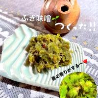 蕗の薹でふき味噌♫•*¨*•.¸¸♪
