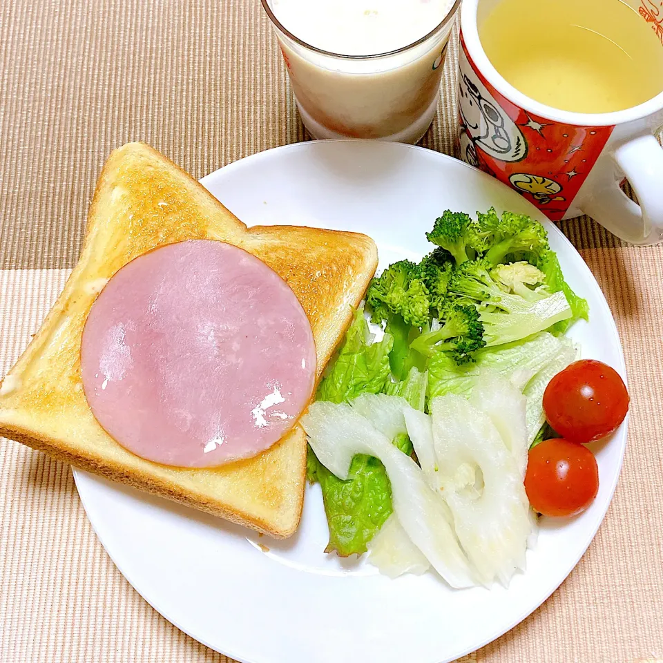 Snapdishの料理写真:トーストとサラダ|akkoさん