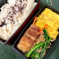 お弁当2023.3.21