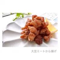 Snapdishの料理写真:ダイズラボ　大豆のお肉のから揚げ🌱