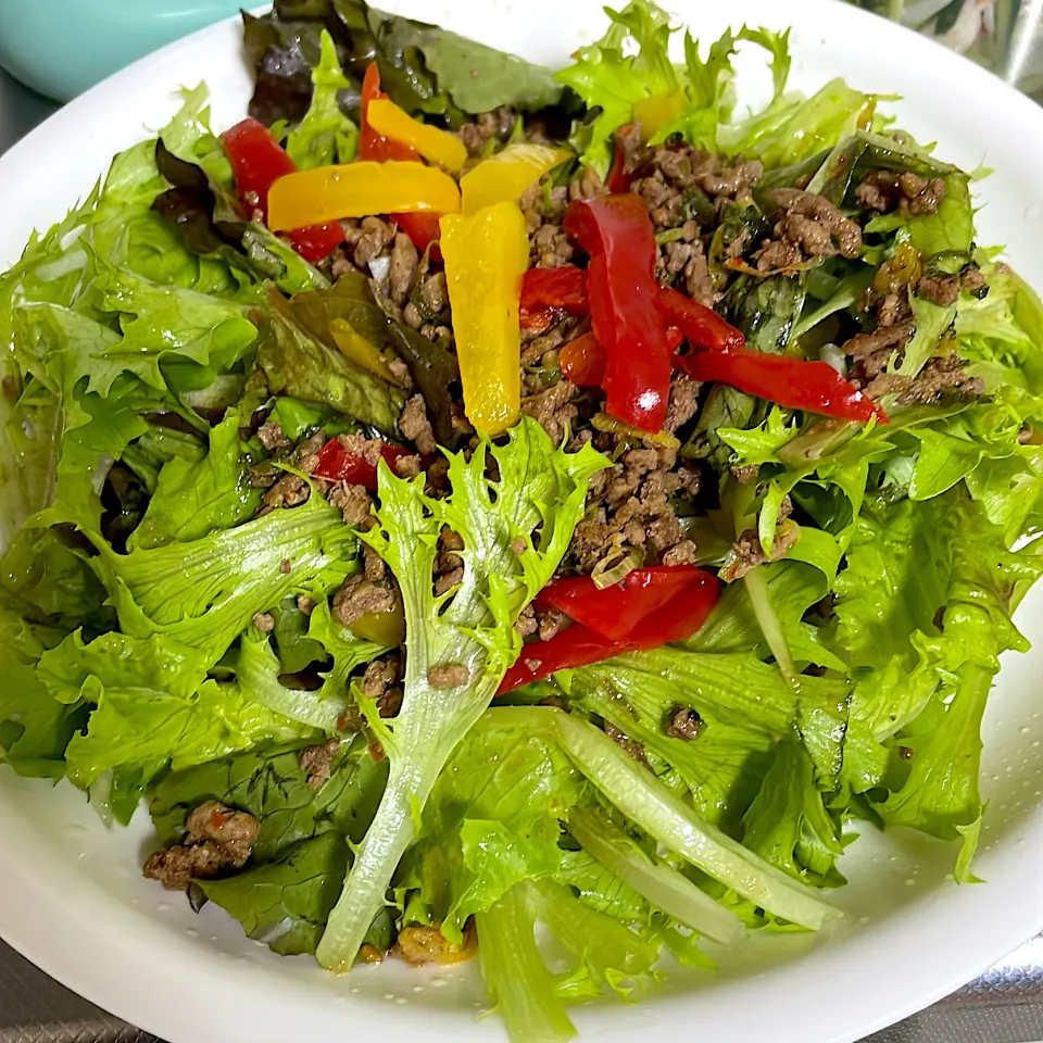 ひき肉とパプリカとリーフレタスのサラダ🥗|ハルカさん