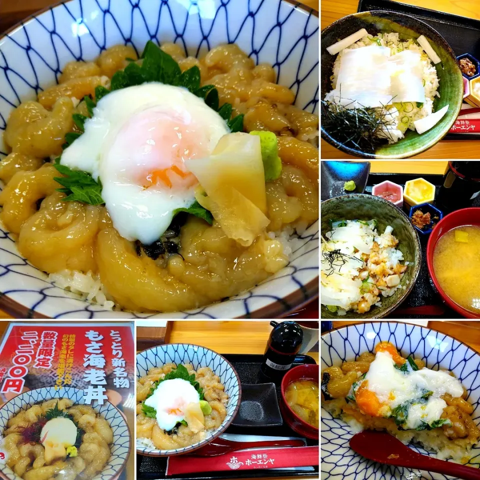 もさえび丼、イカ丼|うたかた。さん